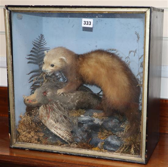 A Victorian taxidermied weasel and grouse, cased